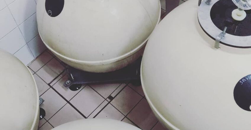 CHAMPAGNE CLAYVER
