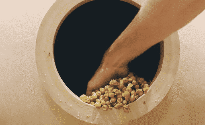 amphore vinification