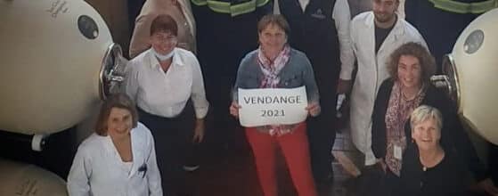 Team Pommery, Champagne Vranken-Pommery et les cuves en grès Clayver pour les vendanges 2021