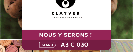 Clayver Sitevi 2023